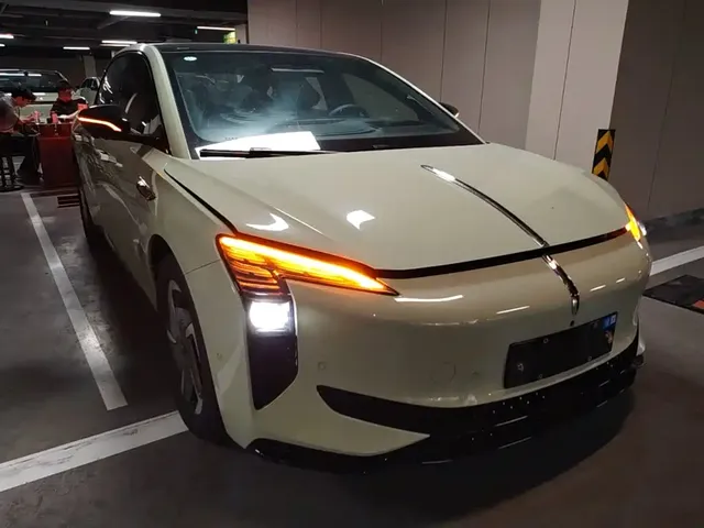 2025 Hongqi EH7 690