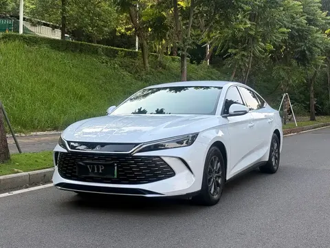 2024 BYD Qin L 80KM