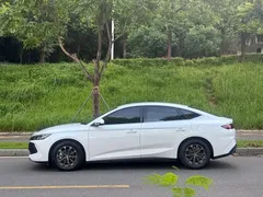 2024 BYD Qin L 80KM, белый — фото 15