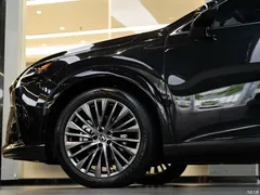 2023 Lexus RX New Energy 450h+ 4WD Enjoy — фото 8
