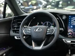 2023 Lexus RX New Energy 450h+ 4WD Enjoy — фото 14