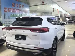 2023 Haval H6 1.5T AT, белый — фото 4