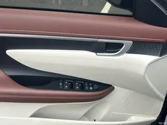 2021 Hyundai Famous pictures 270TGDi DCT TOP Flagship — фото 18