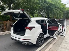 2021 Jetour X70 PLUS 1.6T DCT 5-seat, белый — фото 27