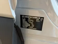 2025 BYD Yuan UP Smart Driving 401km Vitality — фото 10