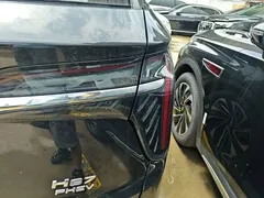2024 Hongqi HS7 2.0T PHEV 4WD 7, чёрный — фото 24