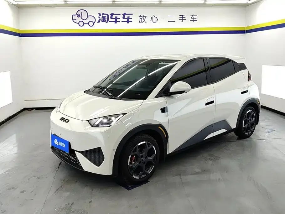 2025 BYD Seagull Smart Driving 305km Freedom