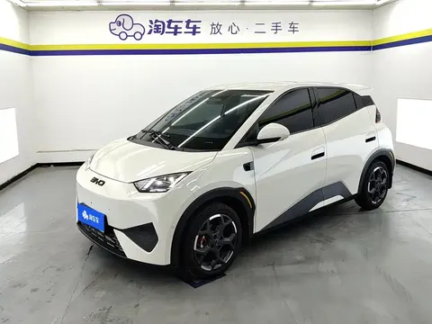 2025 BYD Seagull Smart Driving 305km Freedom