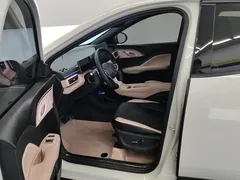 2025 BYD Seagull Smart Driving 305km Freedom, белый — фото 9
