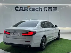 2022 BMW 5 Series 5 530Li xDrive, белый — фото 8