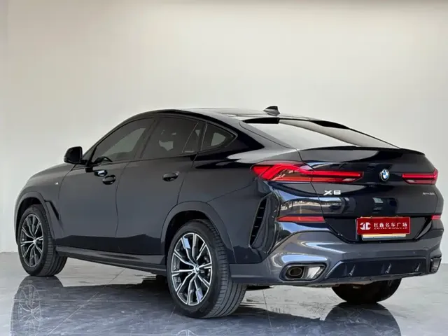 2023 BMW X6