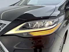 2020 Lexus LM 300h, чёрный — фото 12