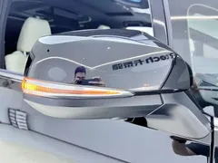 2020 Lexus LM 300h, чёрный — фото 43
