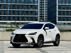 2022 Lexus NX 260 FWD Chuangchi — фото 1