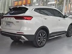 2021 Haval H6 1.5T AT, белый — фото 7