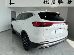 2021 Haval H6 1.5T AT Guochao Urban, белый — фото 4