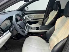 2024 BYD Song PLUS 150km PLUS — фото 12