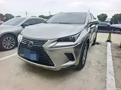 2020 Lexus NX 200 AWD Fashion National VI — фото 1