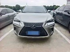 2020 Lexus NX 200 AWD Fashion National VI — фото 2
