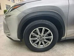 2020 Lexus NX 200 AWD Fashion National VI — фото 8