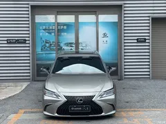 2020 Lexus ES 300h Executive — фото 14