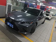 2022 Lexus ES 300h F SPORT — фото 8