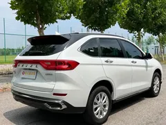 2021 Haval M6 PLUS 1.5T MT Luxury, белый — фото 6