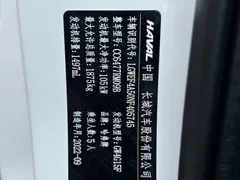 2021 Haval M6 PLUS 1.5T MT Luxury, белый — фото 19