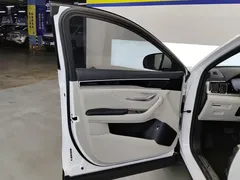 2023 BYD Song PLUS 150KM PLUS, белый — фото 7