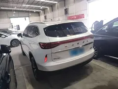 2021 Haval H6 1.5T AT 2WD Pro, белый — фото 5