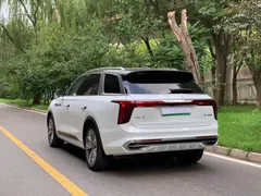 2022 Hongqi E-HS9 690km, белый — фото 6