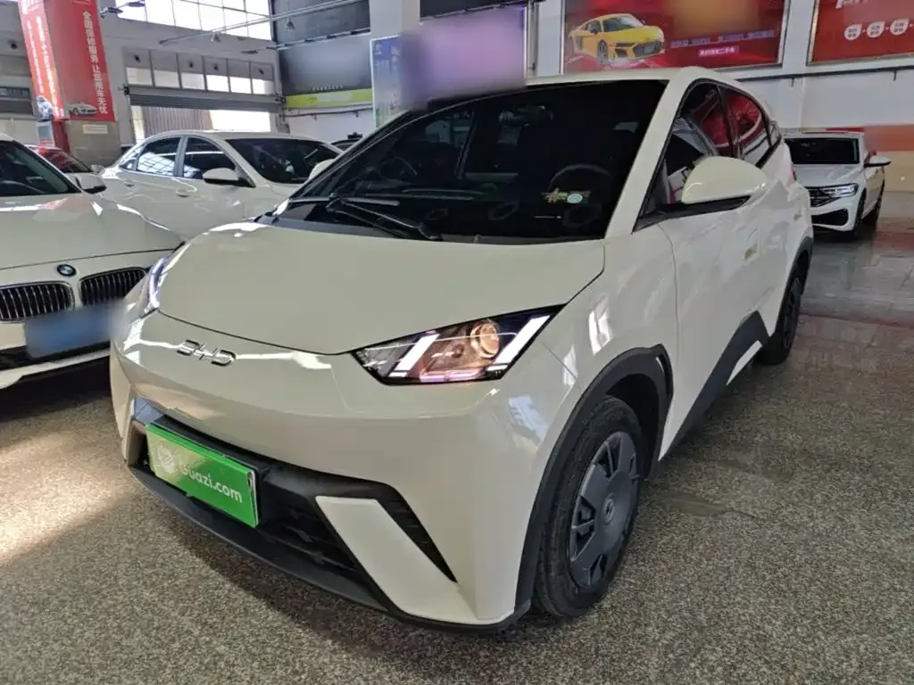 2024 BYD Seagull Honor 305km Vitality
