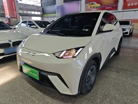 2024 BYD Seagull Honor 305km Vitality