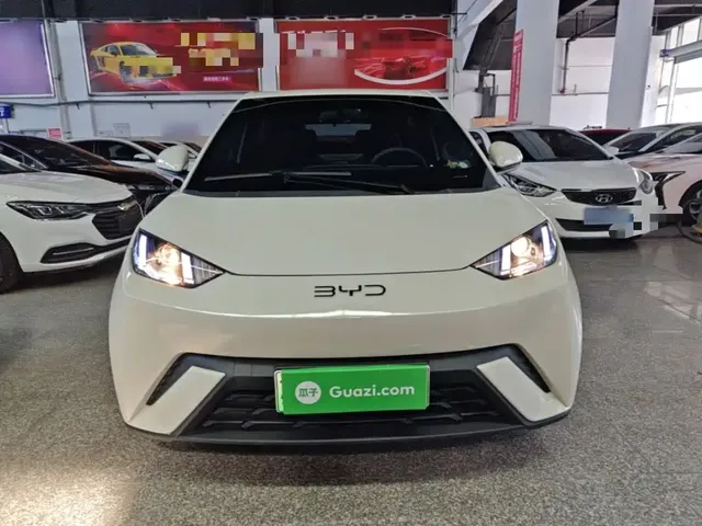 2024 BYD Seagull Honor 305km Vitality