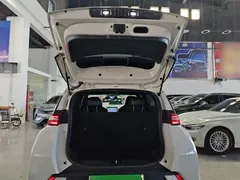 2024 BYD Seagull Honor 305km Vitality, белый — фото 15