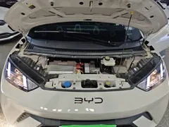 2024 BYD Seagull Honor 305km Vitality, белый — фото 16