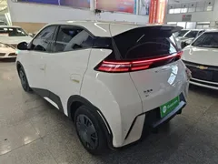 2024 BYD Seagull Honor 305km Vitality, белый — фото 23