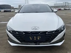 2021 Hyundai Elantra 1.5L CVT GLX Elite — фото 24
