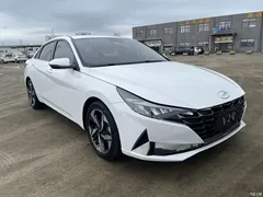 2021 Hyundai Elantra 1.5L CVT GLX Elite — фото 25