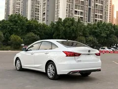 2020 Changan Raeton PLUS 1.5T AT, белый — фото 6