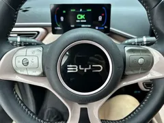 2024 BYD Seagull EV Glory 405km Flying, белый — фото 14