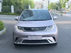 2024 BYD Dolphin Honor 420km Fashion — фото 2