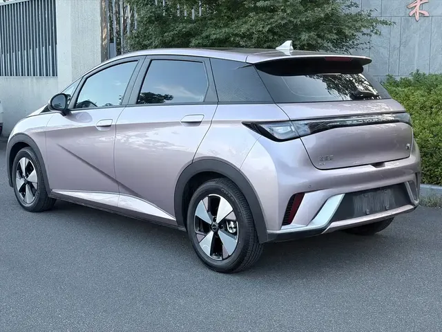 2024 BYD Dolphin Honor 420km Fashion