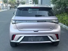 2024 BYD Dolphin Honor 420km Fashion — фото 5