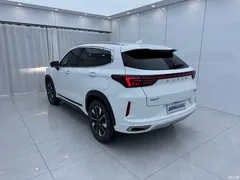 2022 Exeed Xingtu Chasing the Wind Riding the Wind and Waves 1.5T CVT Yufengxing — фото 6