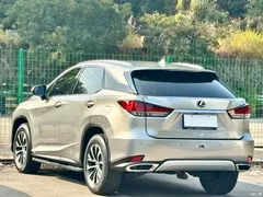 2020 Lexus RX modified 300 2WD Comfort — фото 18