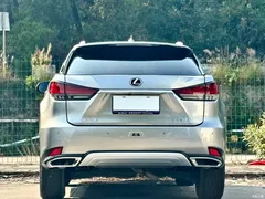 2020 Lexus RX modified 300 2WD Comfort — фото 20
