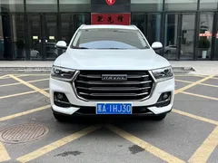 2021 Haval H6 1.5T AT Guochao Urban, белый — фото 2