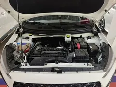 2021 Chery Tiggo 2 Pro Diamond 1.5L CVT 3 Carat II, белый — фото 16