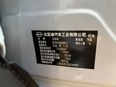 2025 BYD Yuan UP Smart Driving 401km Vitality — фото 15